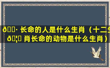 🕷 长命的人是什么生肖（十二生 🦈 肖长命的动物是什么生肖）